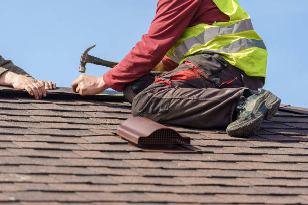 Best Roof Gutter Cleaning  in East Berwick, PA